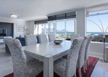 Professional Window Cleaning