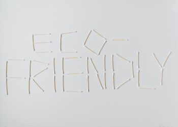 Sustainable Living Spaces: Eco-Friendly Home Designs for 2024